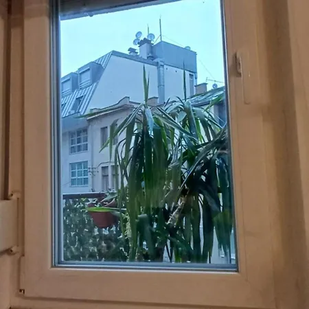 Brand New דירה *