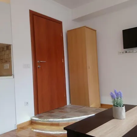 Brand New * 塞拉耶佛