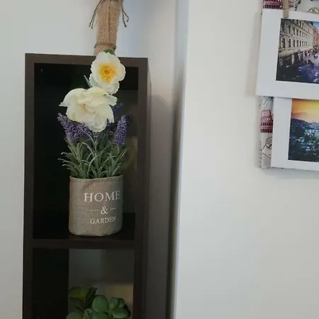 Brand New Apartamento